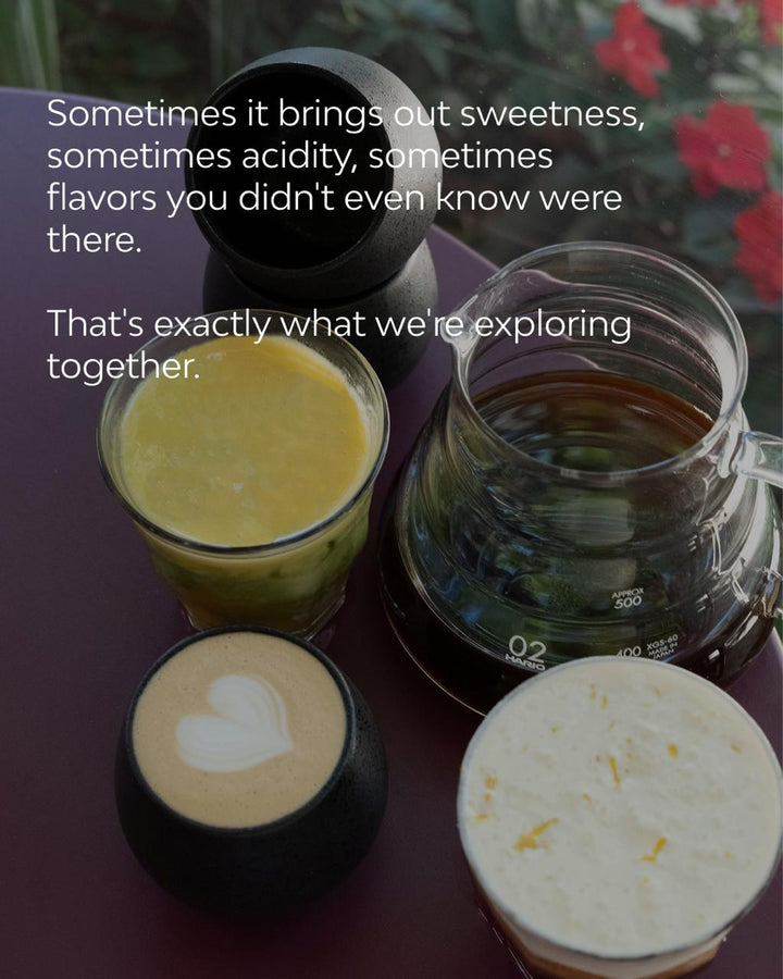 Dessert & Drink Pairing